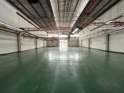 Pioneer Road North (D22), Factory #576611741